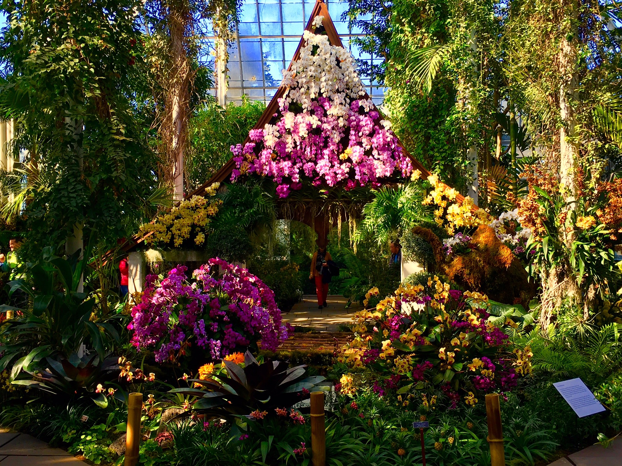 The Orchid show in New York is back to blossom! Frenzy Tours
