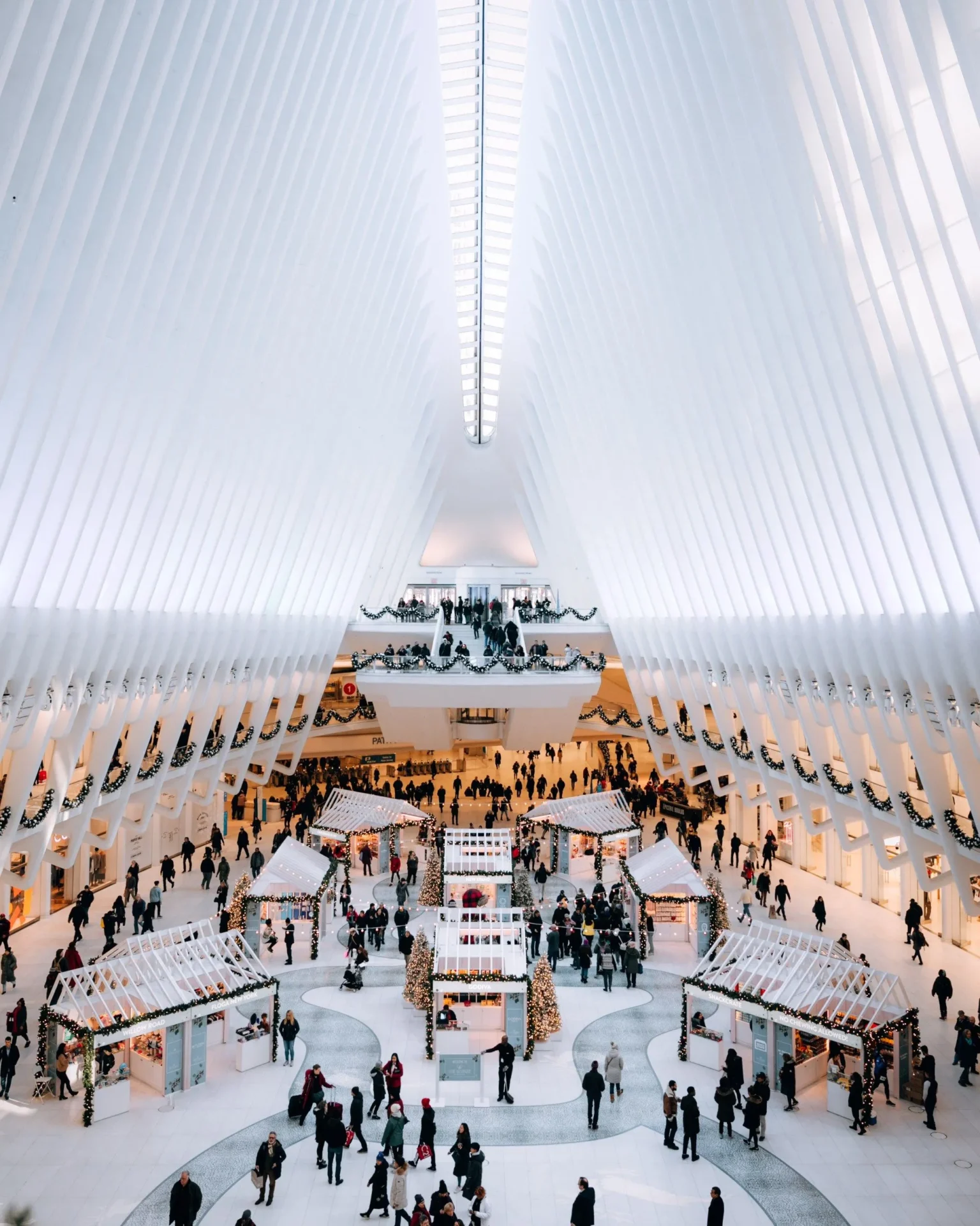 b6a3a0fcf4b9ddfbb0862dd5d19dd6d5