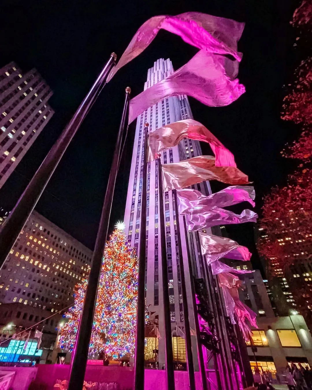 dandavenportnyc_20211217_111128_0